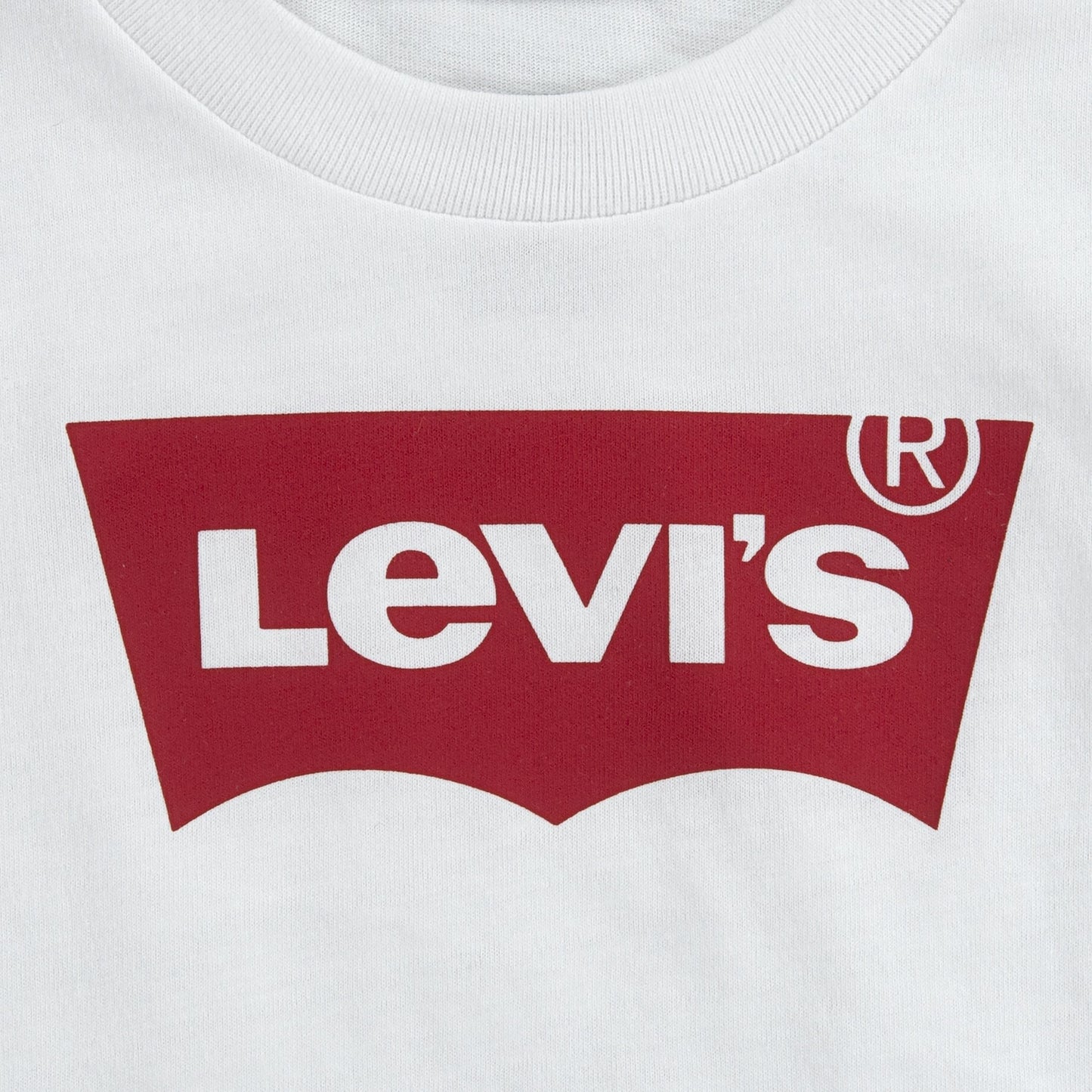 01133517_4.jpg
