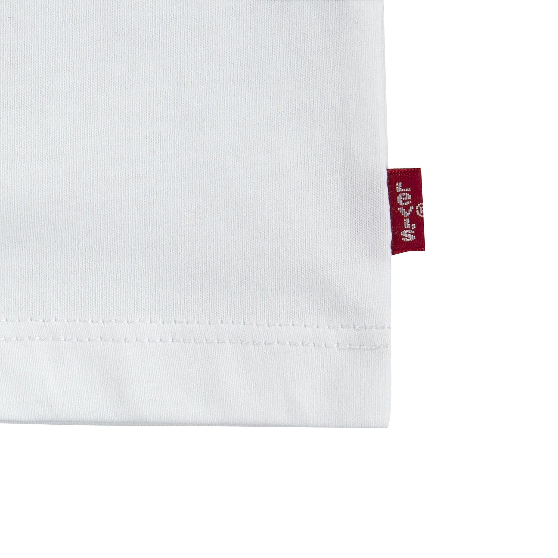 01133513_3.jpg