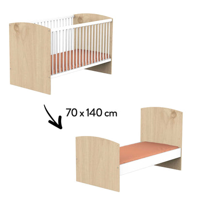 01159568_1.jpg