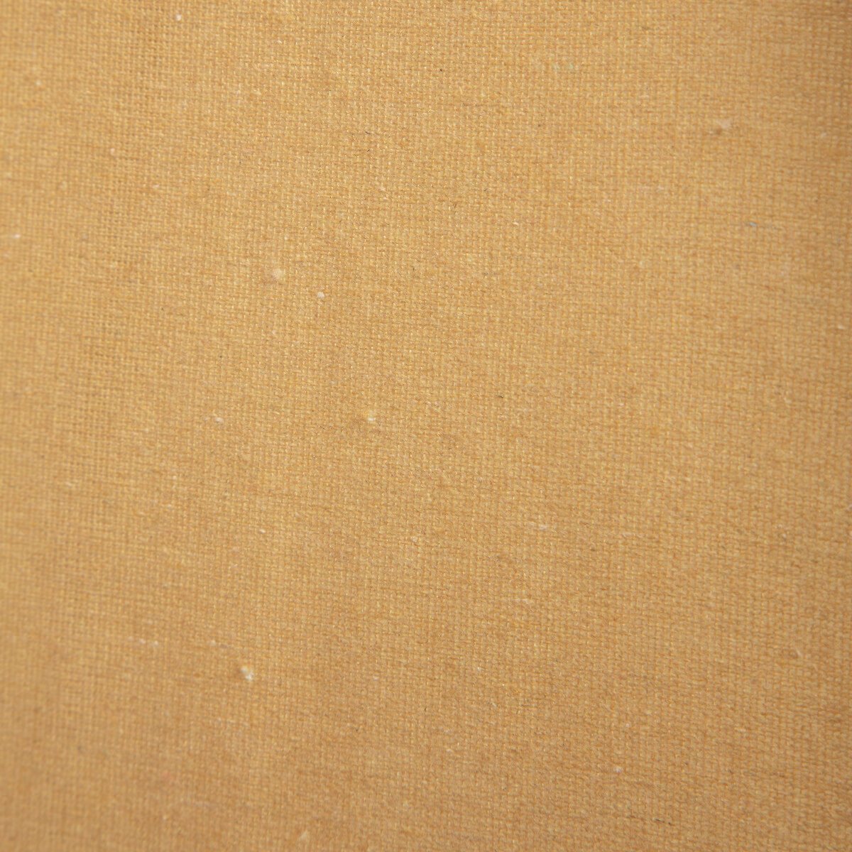 01172946_5.jpg