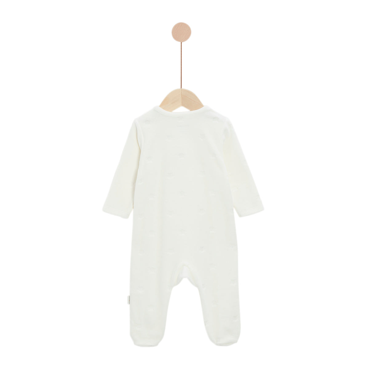 01177479_4.jpg