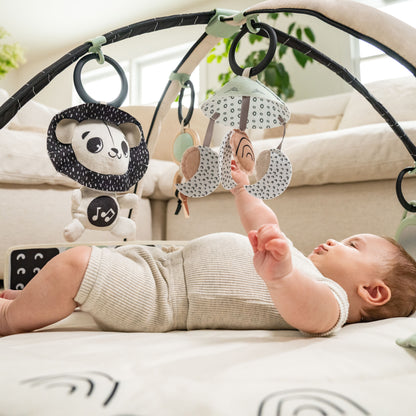 01185457_2.jpg