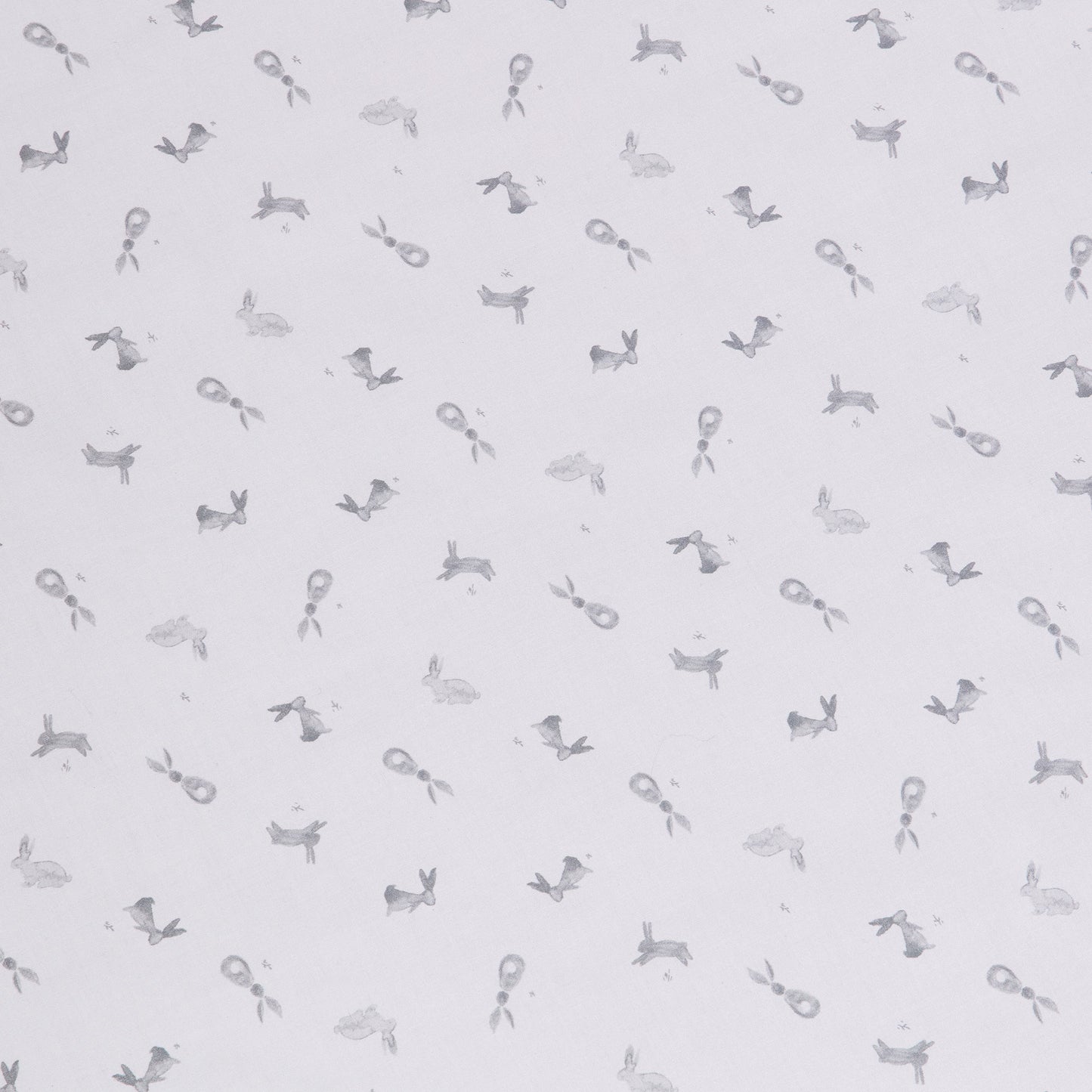 01186502_11.jpg