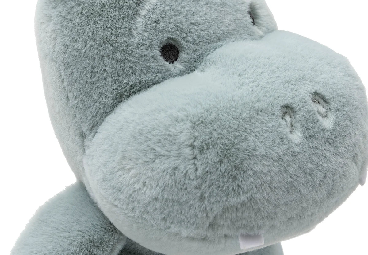 Peluche