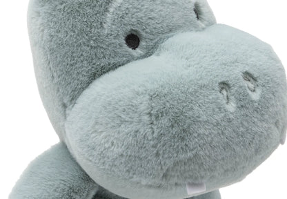 Peluche