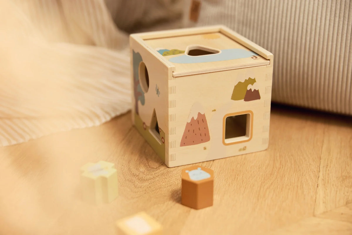 Boîtes à Formes en bois