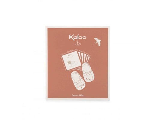 Mon coffret chaussons bébé Ours