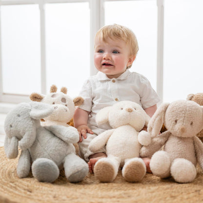 TEDDY Peluche