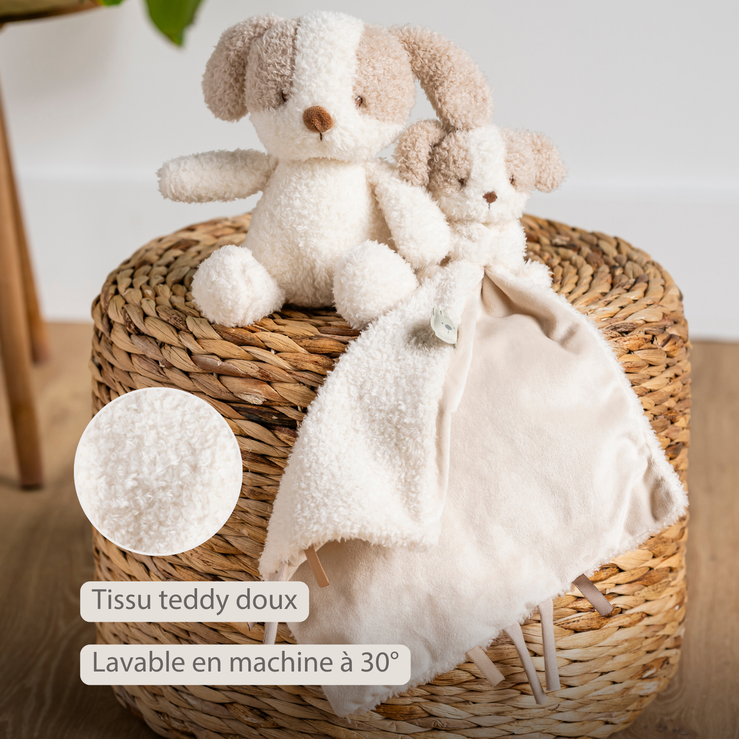 TEDDY Doudou