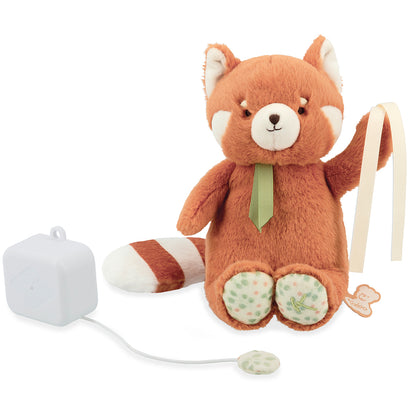 Panda roux musical