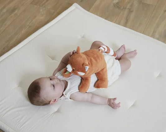 Peluche Lestée