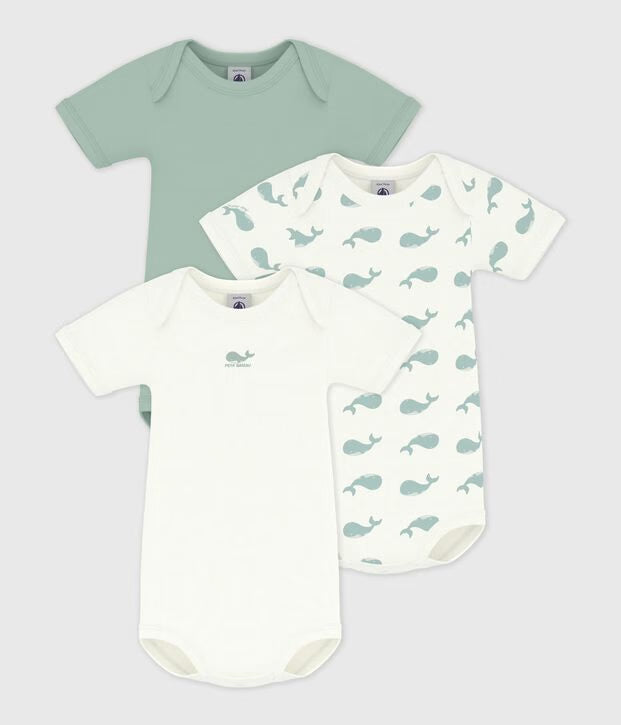Lot de 3 bodies US manches courtes