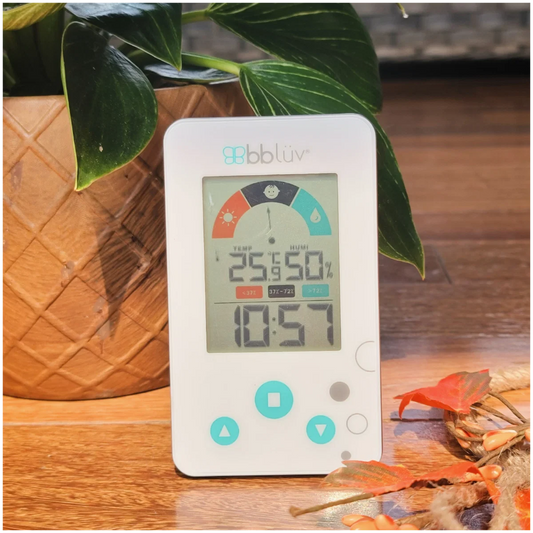 Thermomètre Hygromètre 2 en 1